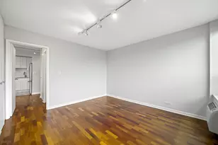 88 W Schiller St, Chicago, IL 60610 - Photo 13
