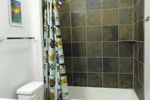 1464 S Michigan Ave, Chicago, IL 60605 - Photo 17