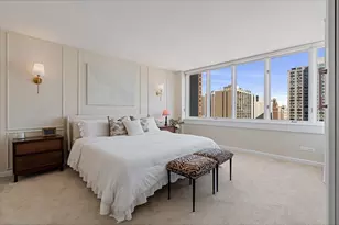 1 E Schiller St, Chicago, IL 60610 - Photo 17