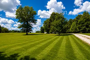 7507 Krutsinger Rd, Kinmundy, IL 62854 - Photo 97