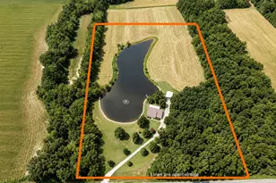 7507 Krutsinger Rd, Kinmundy, IL 62854 - Photo 3