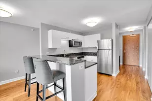 2 E Erie St, Chicago, IL 60611 - Photo 13