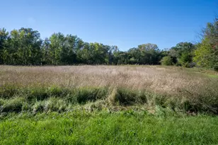 17040 Diamond Rd, Fulton, IL 61252 - Photo 37