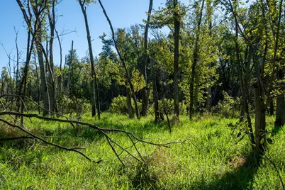 17040 Diamond Road, Fulton, IL 61252 - Photo 39