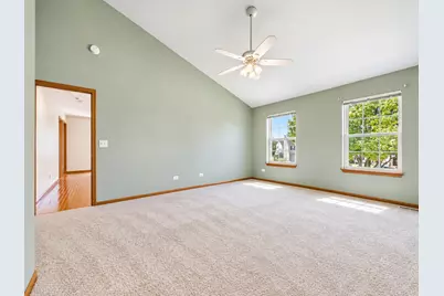 247 Alyssum Court, Romeoville, IL 60446 - Photo 11