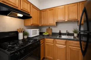 7234 W North Ave, Elmwood Park, IL 60707 - Photo 7