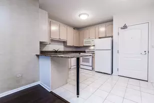 21 W Chestnut St, Chicago, IL 60610 - Photo 3