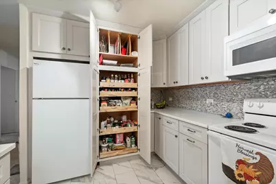 6007 N Sheridan Road #24D, Chicago, IL 60660 - Photo 9