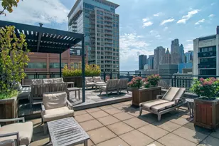 850 N Dewitt Pl, Chicago, IL 60611 - Photo 19