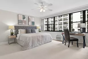 850 N Dewitt Pl, Chicago, IL 60611 - Photo 13