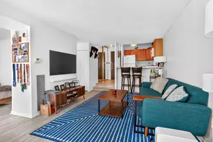 230 E Ontario St, Chicago, IL 60611 - Photo 7