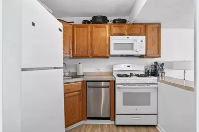 230 E Ontario Street #1304, Chicago, IL 60611 - Photo 9