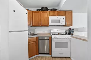 230 E Ontario St, Chicago, IL 60611 - Photo 9