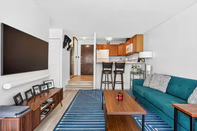 230 E Ontario Street #1304, Chicago, IL 60611 - Photo 5