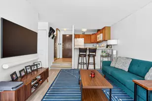 230 E Ontario St, Chicago, IL 60611 - Photo 5