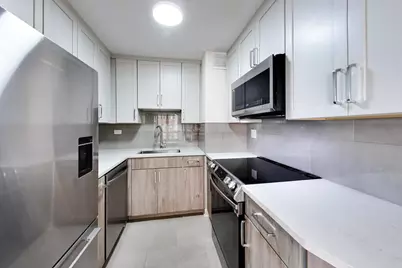21 W Goethe Street #10L, Chicago, IL 60610 - Photo 17