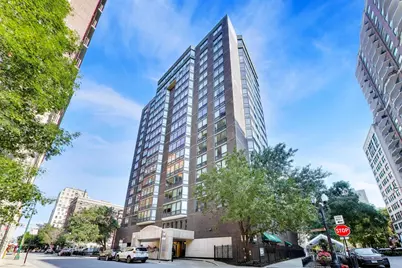 21 W Goethe Street #10L, Chicago, IL 60610 - Photo 1