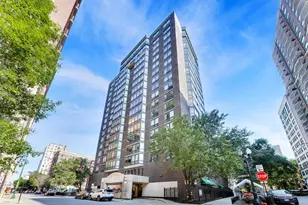 21 W Goethe St, Chicago, IL 60610 - Photo 1