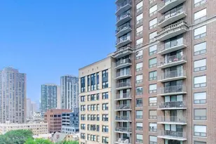 21 W Goethe St, Chicago, IL 60610 - Photo 15