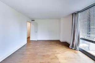 21 W Goethe St, Chicago, IL 60610 - Photo 21