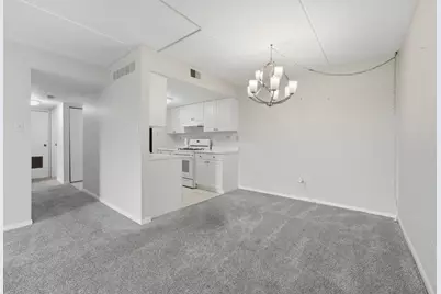 512 Redondo Drive #509, Downers Grove, IL 60516 - Photo 9