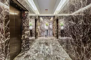 950 N Michigan Ave, Chicago, IL 60611 - Photo 51
