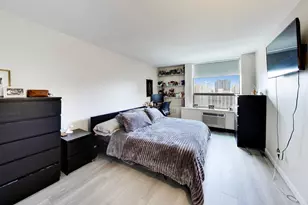 1455 N Sandburg Terrace, Chicago, IL 60610 - Photo 11