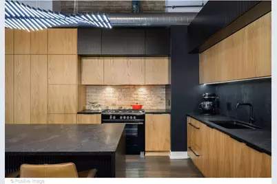 420 W Ontario Street #405, Chicago, IL 60654 - Photo 15