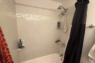 10 E Ontario St, Chicago, IL 60611 - Photo 9