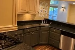 852 Dighton Ln N, Schaumburg, IL 60173 - Photo 5