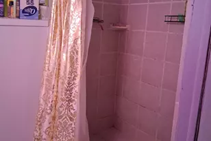 10342 S Ave N Ave, Chicago, IL 60617 - Photo 11