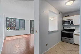440 N McClurg Ct, Chicago, IL 60611 - Photo 9
