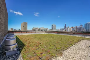 320 E 21st St, Chicago, IL 60616 - Photo 27
