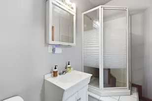 410 N Carey St, Braceville, IL 60407 - Photo 23