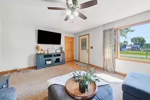 410 N Carey St, Braceville, IL 60407 - Photo 5