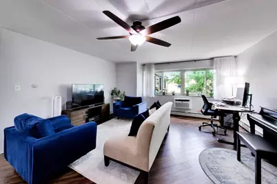 425 Home Avenue #3G, Oak Park, IL 60302 - Photo 3