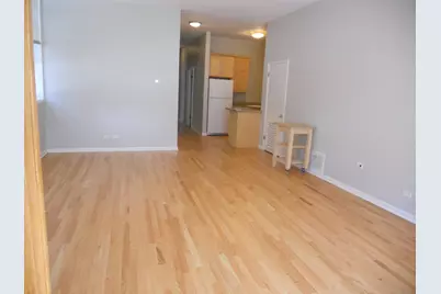 2158 W Erie Street #1, Chicago, IL 60612 - Photo 5