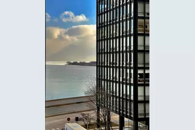 880 N Lake Shore Drive #12GH, Chicago, IL 60611 - Photo 43