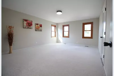 8247 W Wintergreen Drive, Frankfort, IL 60423 - Photo 13