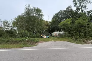 26253 Hwy 29 Hwy, Depue, IL 61322 - Photo 1