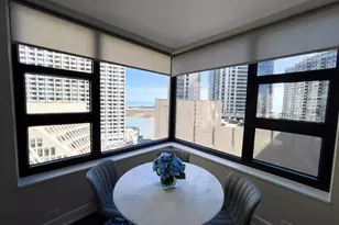 401 E Ontario St, Chicago, IL 60611 - Photo 31