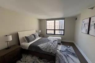 401 E Ontario St, Chicago, IL 60611 - Photo 5