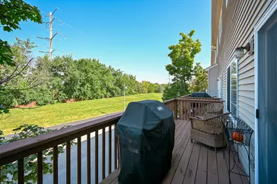 217 Willow Boulevard, Willow Springs, IL 60480 - Photo 25