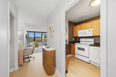 1560 N Sandburg Terrace #507J, Chicago, IL 60610 - Photo 5