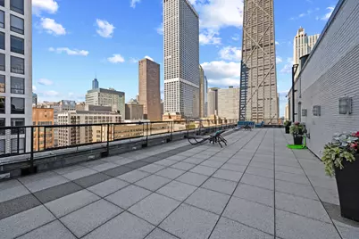 253 E Delaware Place #17D, Chicago, IL 60611 - Photo 15