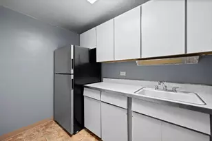 253 E Delaware Pl, Chicago, IL 60611 - Photo 9