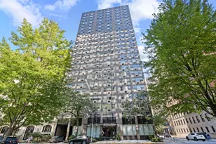 253 E Delaware Pl, Chicago, IL 60611 - Photo 1