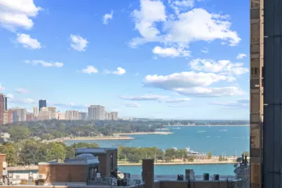 253 E Delaware Place #17D, Chicago, IL 60611 - Photo 13