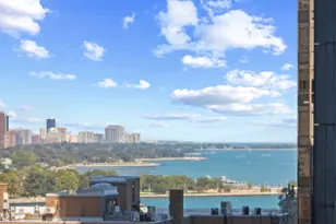 253 E Delaware Pl, Chicago, IL 60611 - Photo 13