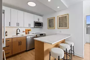 1355 N Sandburg Terrace, Chicago, IL 60610 - Photo 17